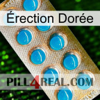 Érection Dorée new09
